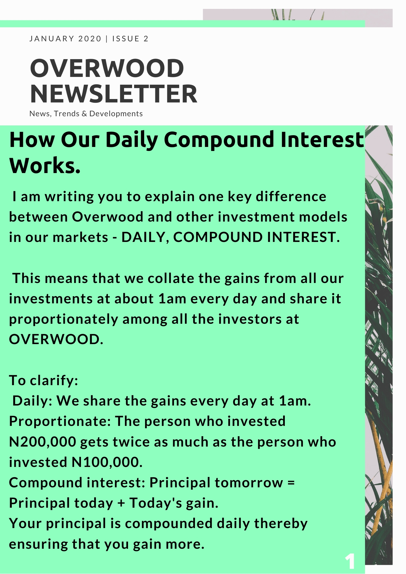 How our daily compound interest works bravewood
