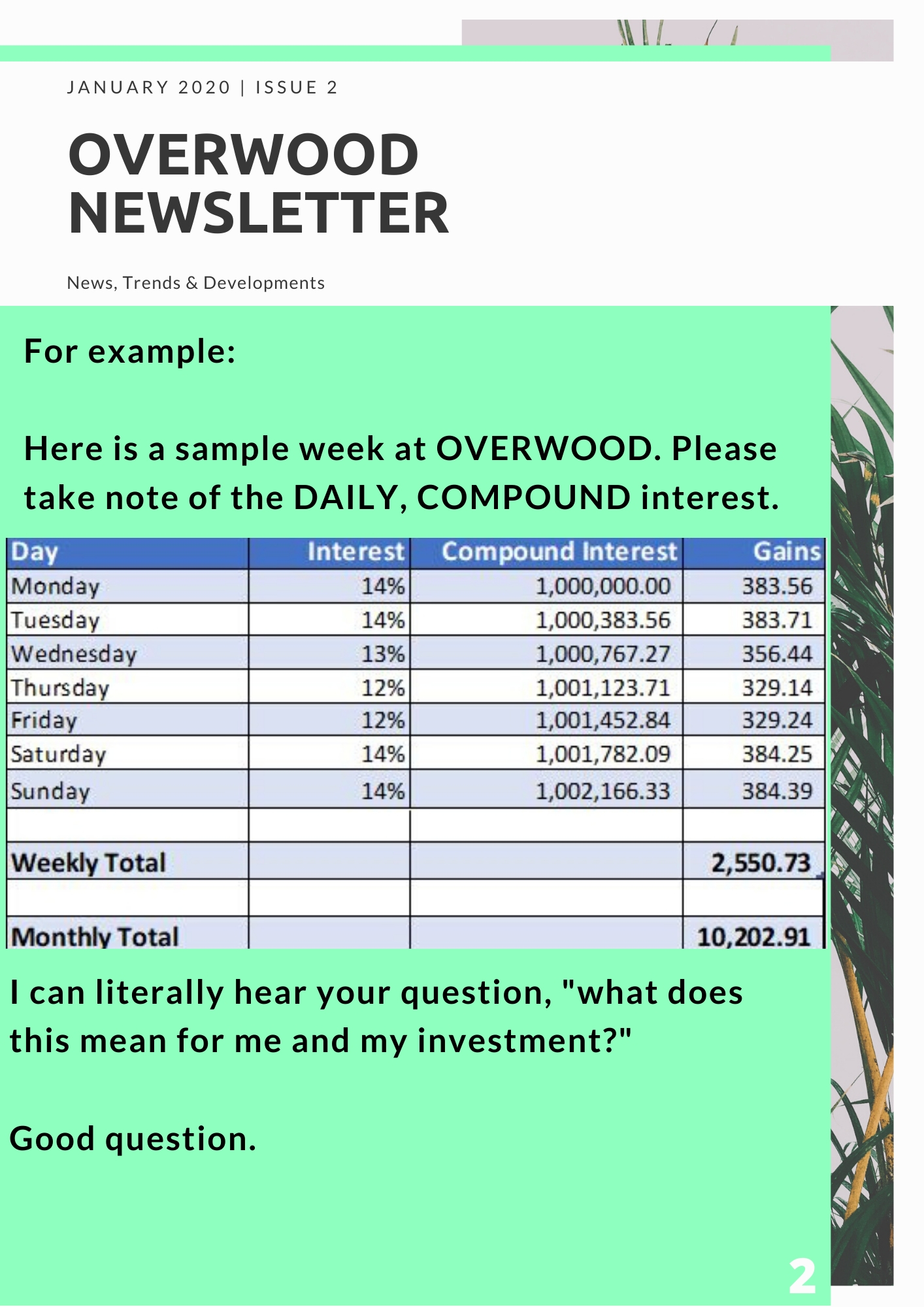 How our daily compound interest works bravewood
