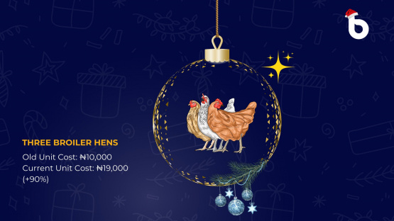 Three broiler hens labeled with Nigerian 12 days of Christmas prices, showing dramatic inflation from ₦10,000 to ₦19,000 in for each unit 2024.